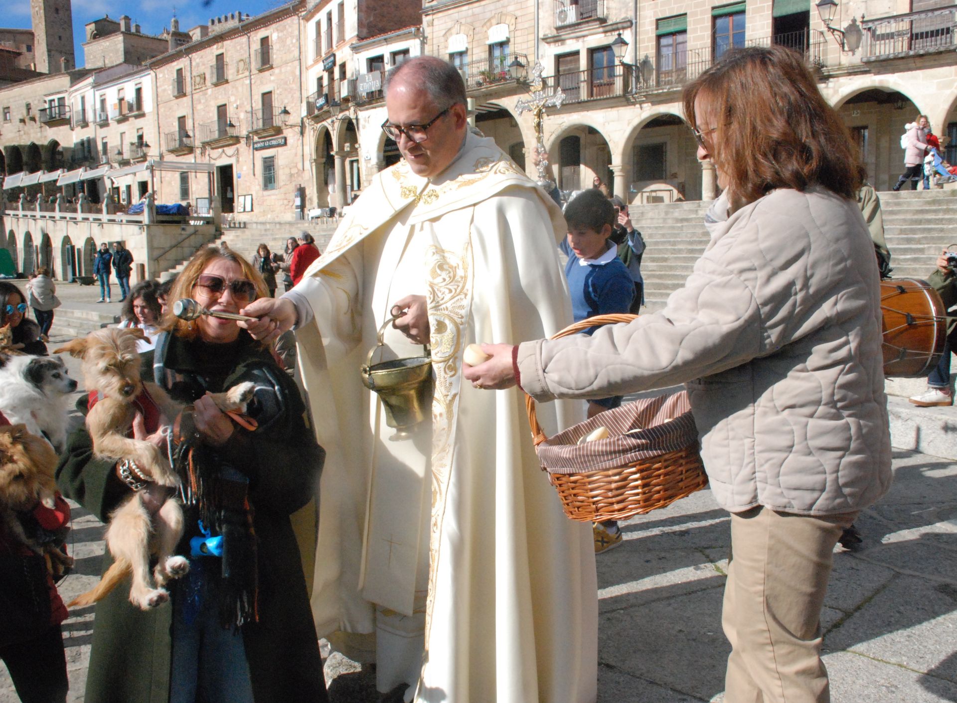 Bendición de los animales por San Antón