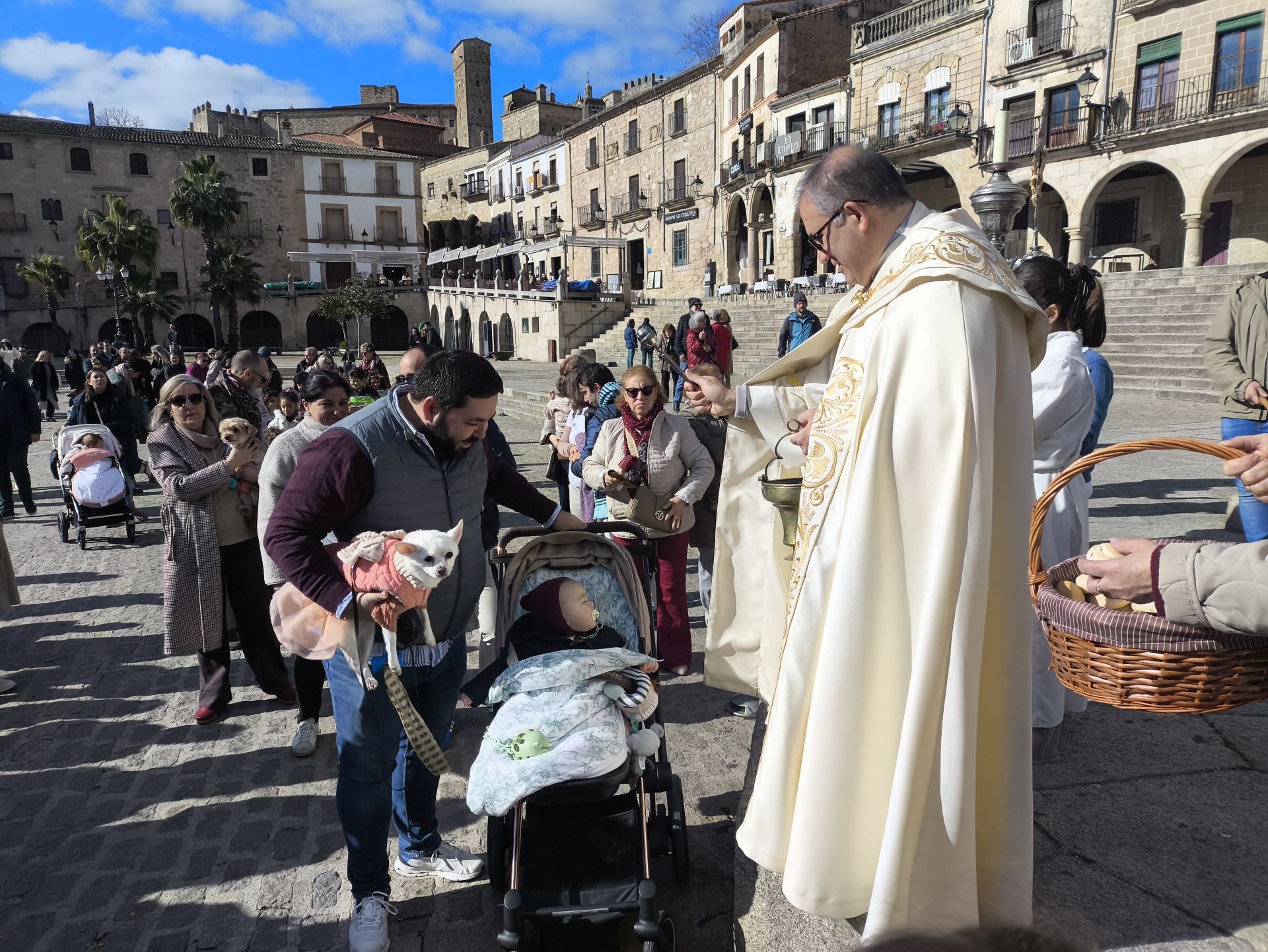 Bendición de los animales por San Antón