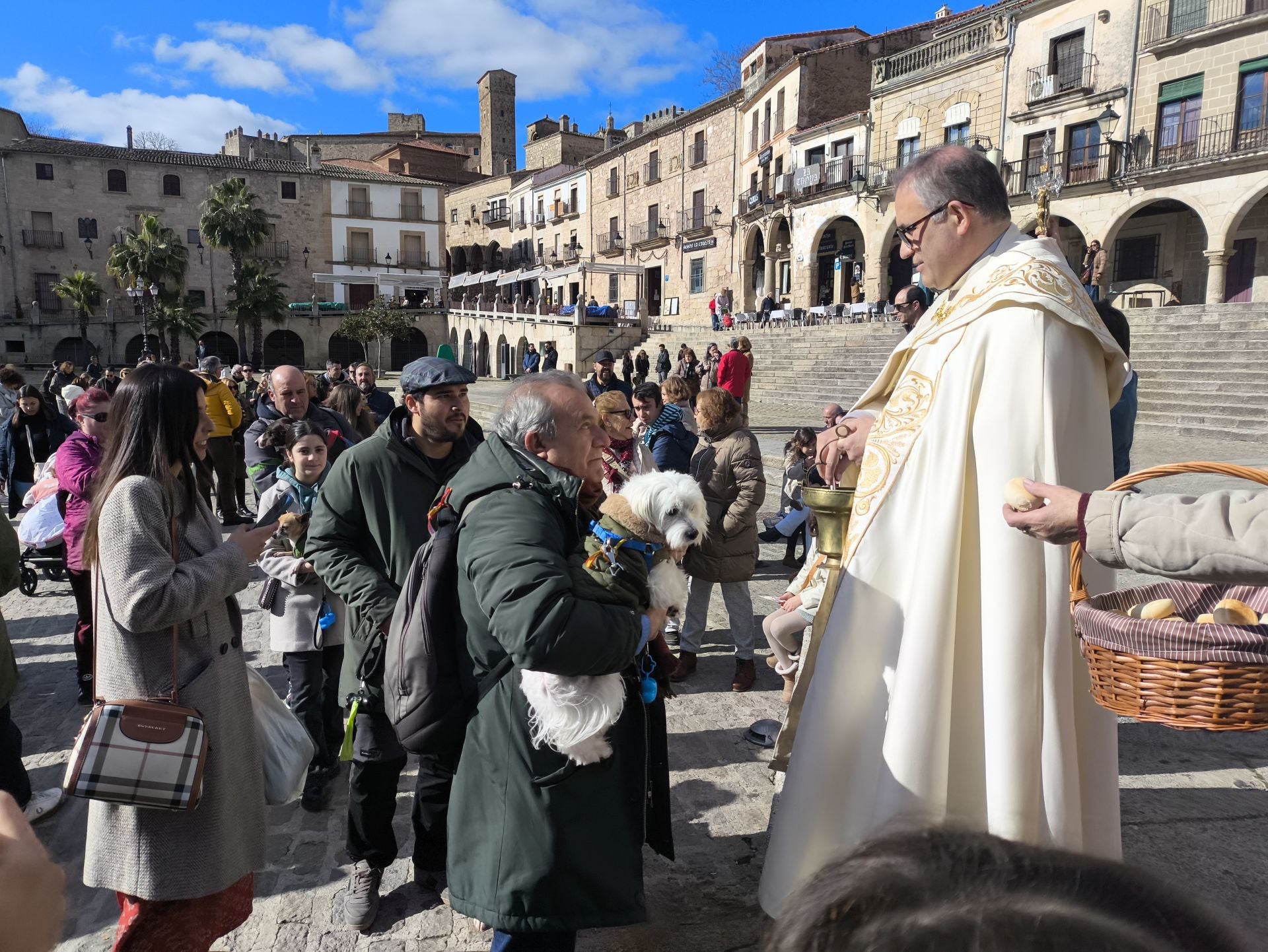 Bendición de los animales por San Antón
