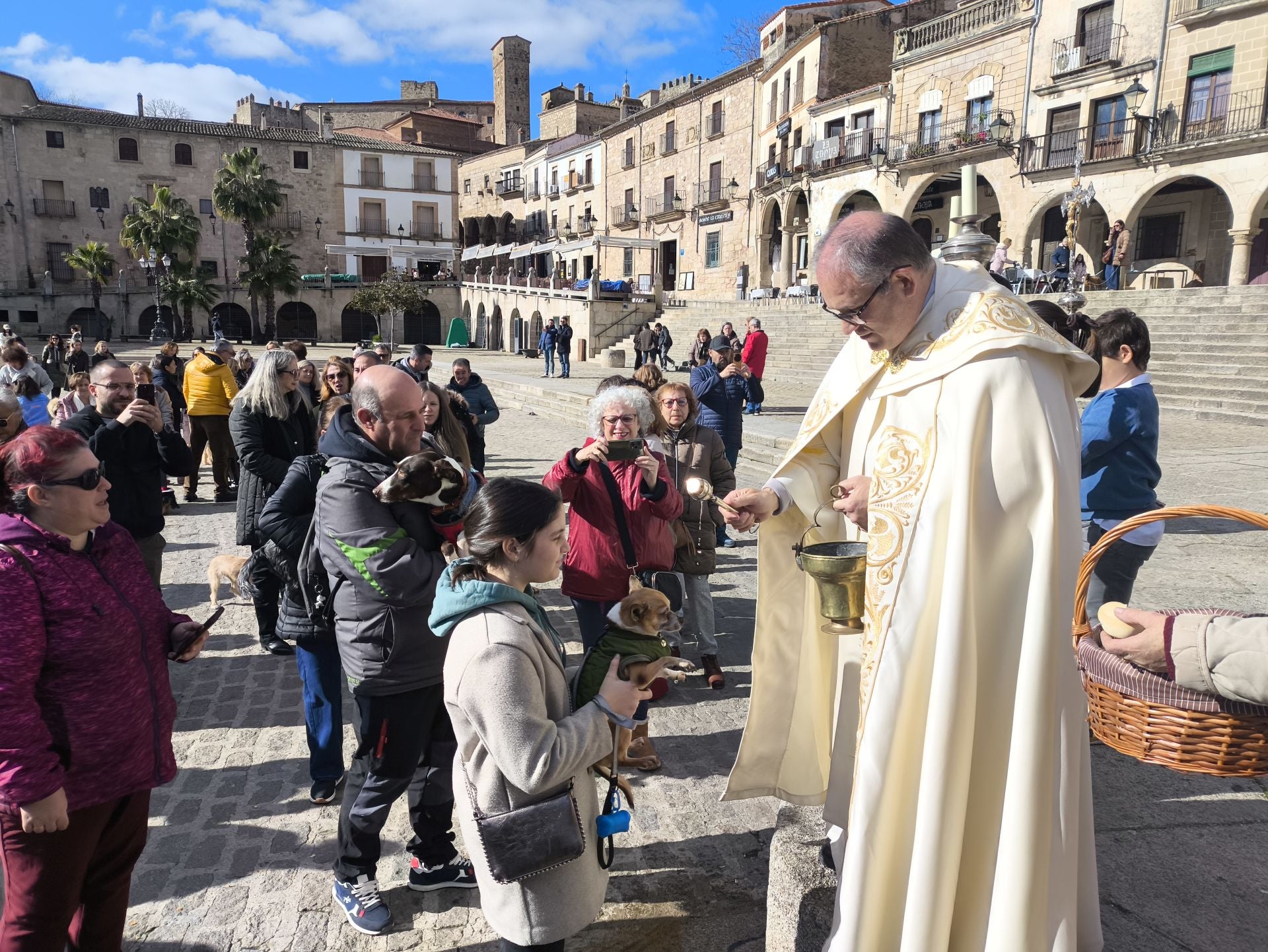 Bendición de los animales por San Antón