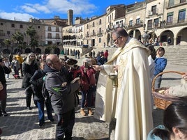 Bendición de los animales por San Antón