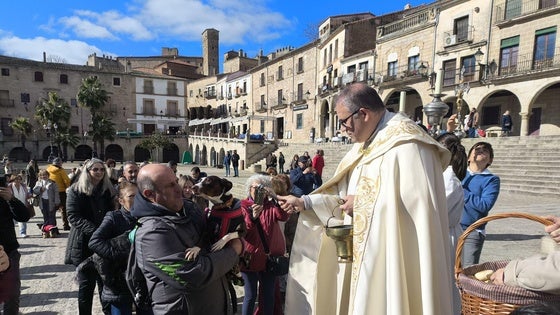 Bendición de los animales por San Antón