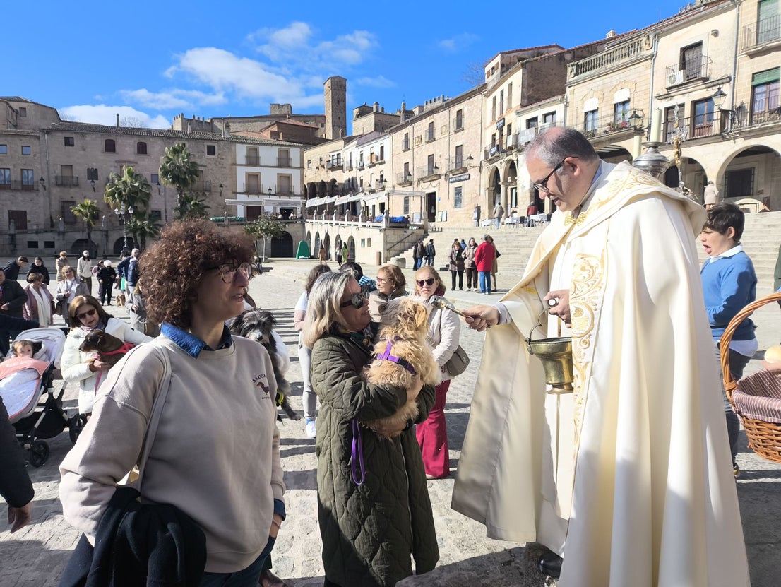 Bendición de los animales por San Antón