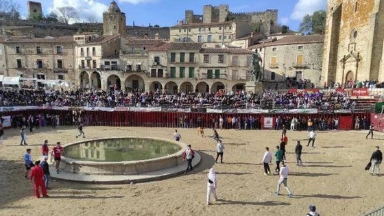 Sale a licitación la organización y ejecución de los festejos taurinos para los carnavales