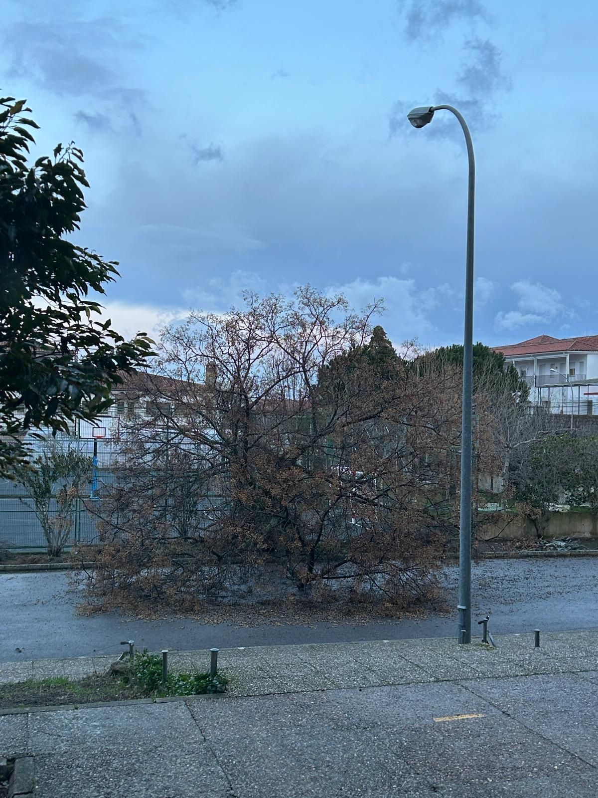 El temporal provoca diferentes incidencias