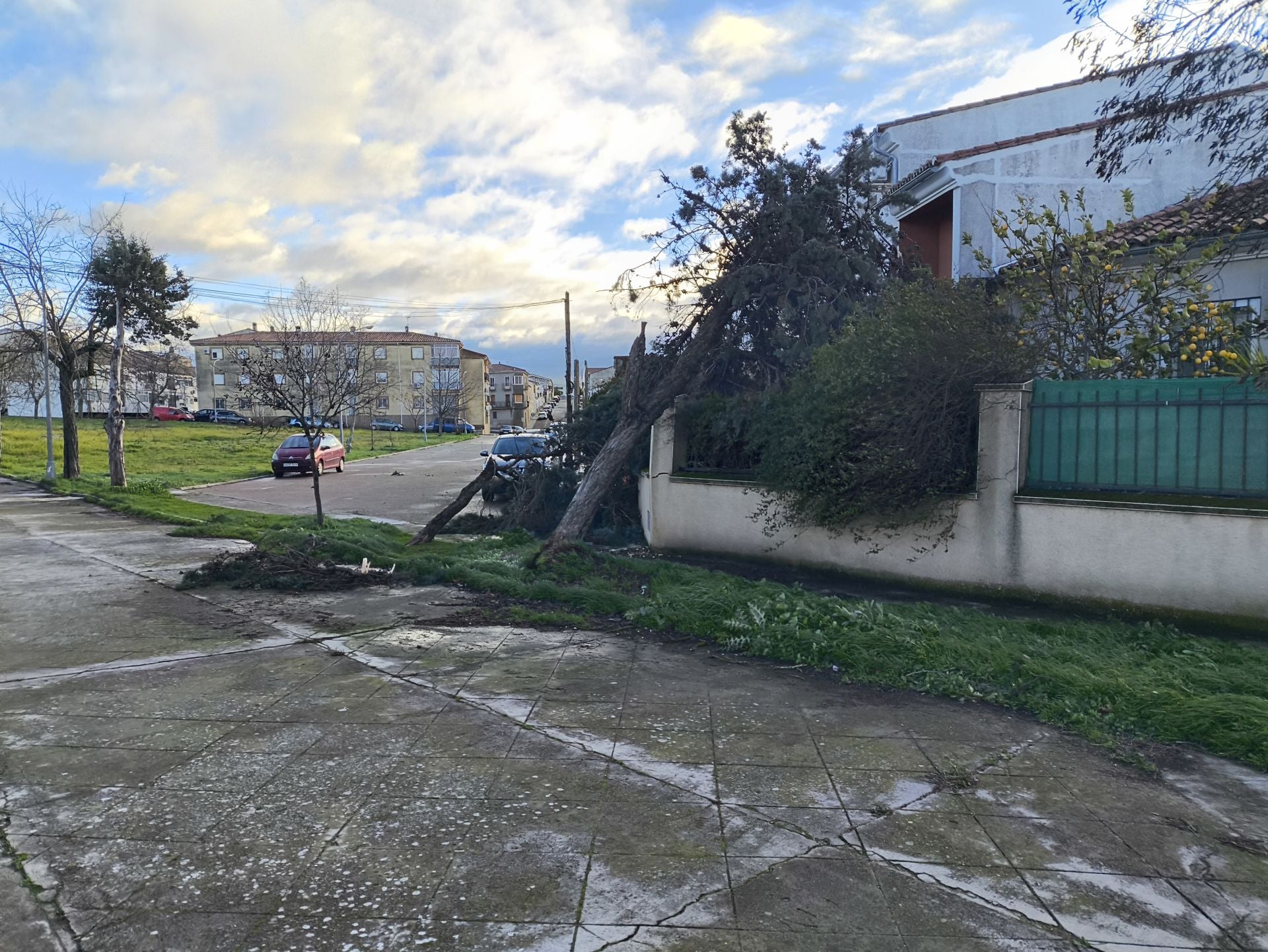 El temporal provoca diferentes incidencias
