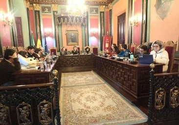 Sesión plenaria celebrada hace unos días.