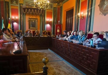 Sesión plenaria celebrada el jueves