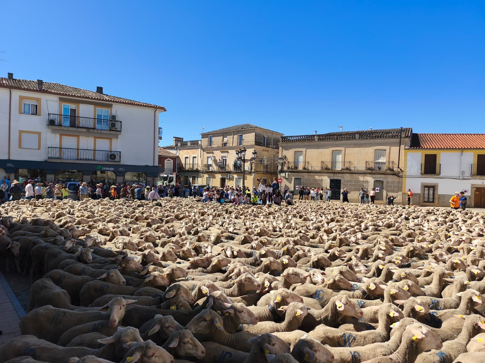 Imagen principal - Huertas de Ánimas se vuelca una vez más con la fiesta de la trashumancia