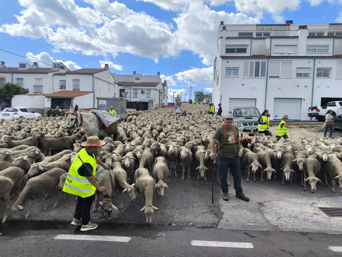 Una jornada dedicada a la trashumancia