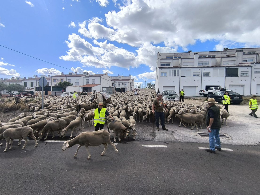 Una jornada dedicada a la trashumancia