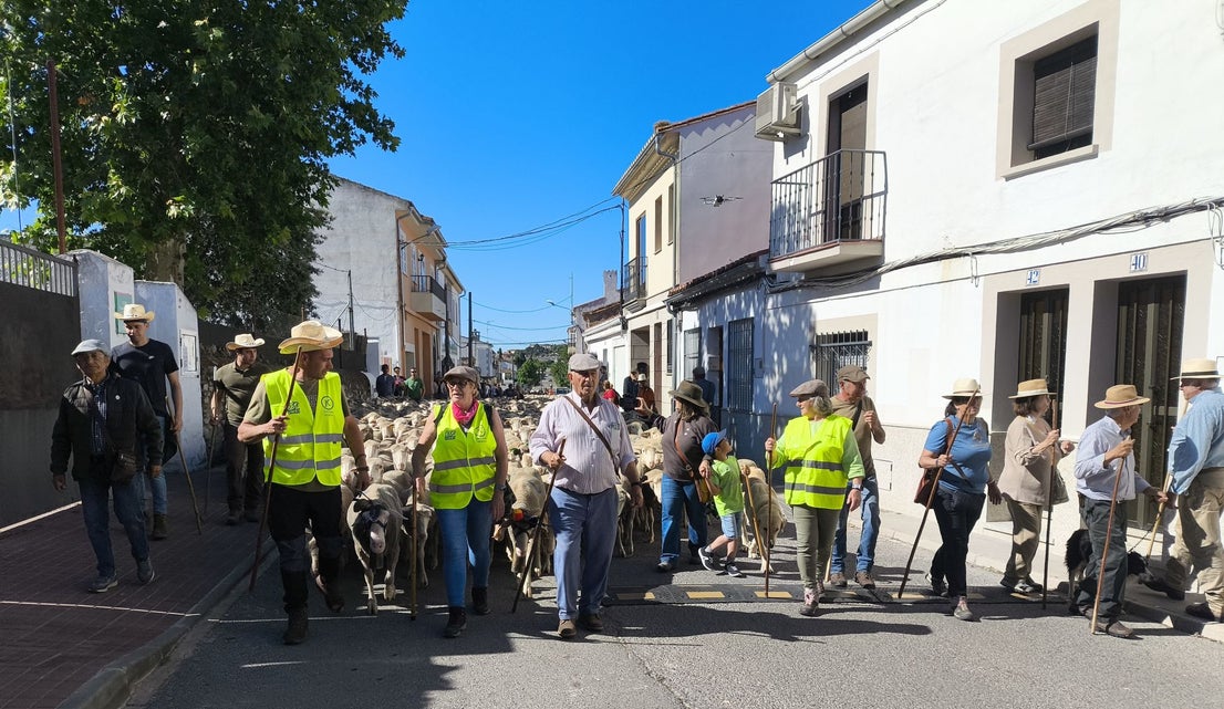 Una jornada dedicada a la trashumancia