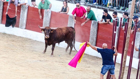 Las fiestas patronales llegan a su traca final con la capea nocturna y la dirigida a las mujeres