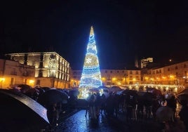 Uno de los árboles de Navidad puesto en una edición pasada.