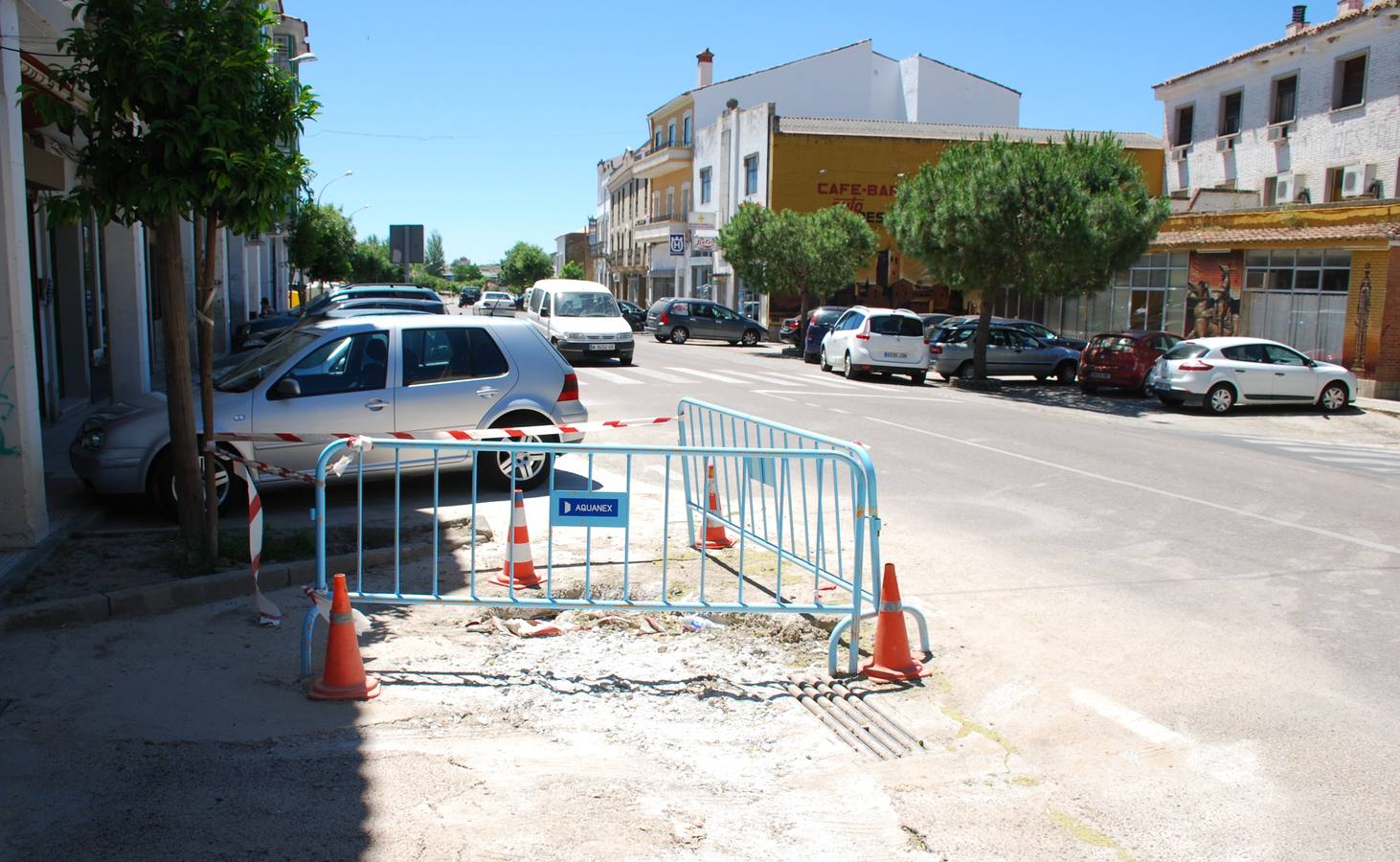 Uno de los últimos problemas de la avenida de Miajadas 