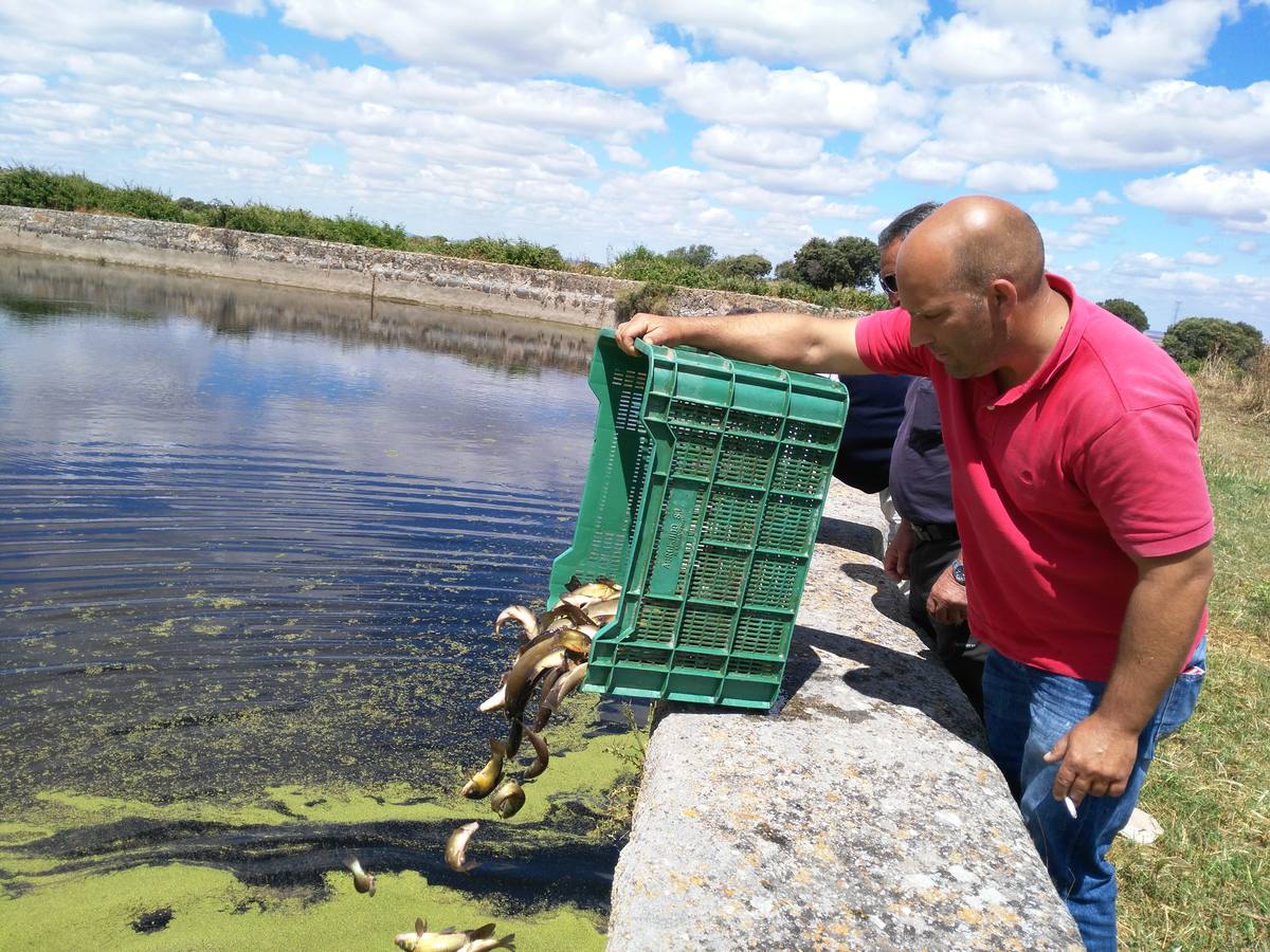 Un integrantes de la sociedad de pescadores en La Magdalena JSP