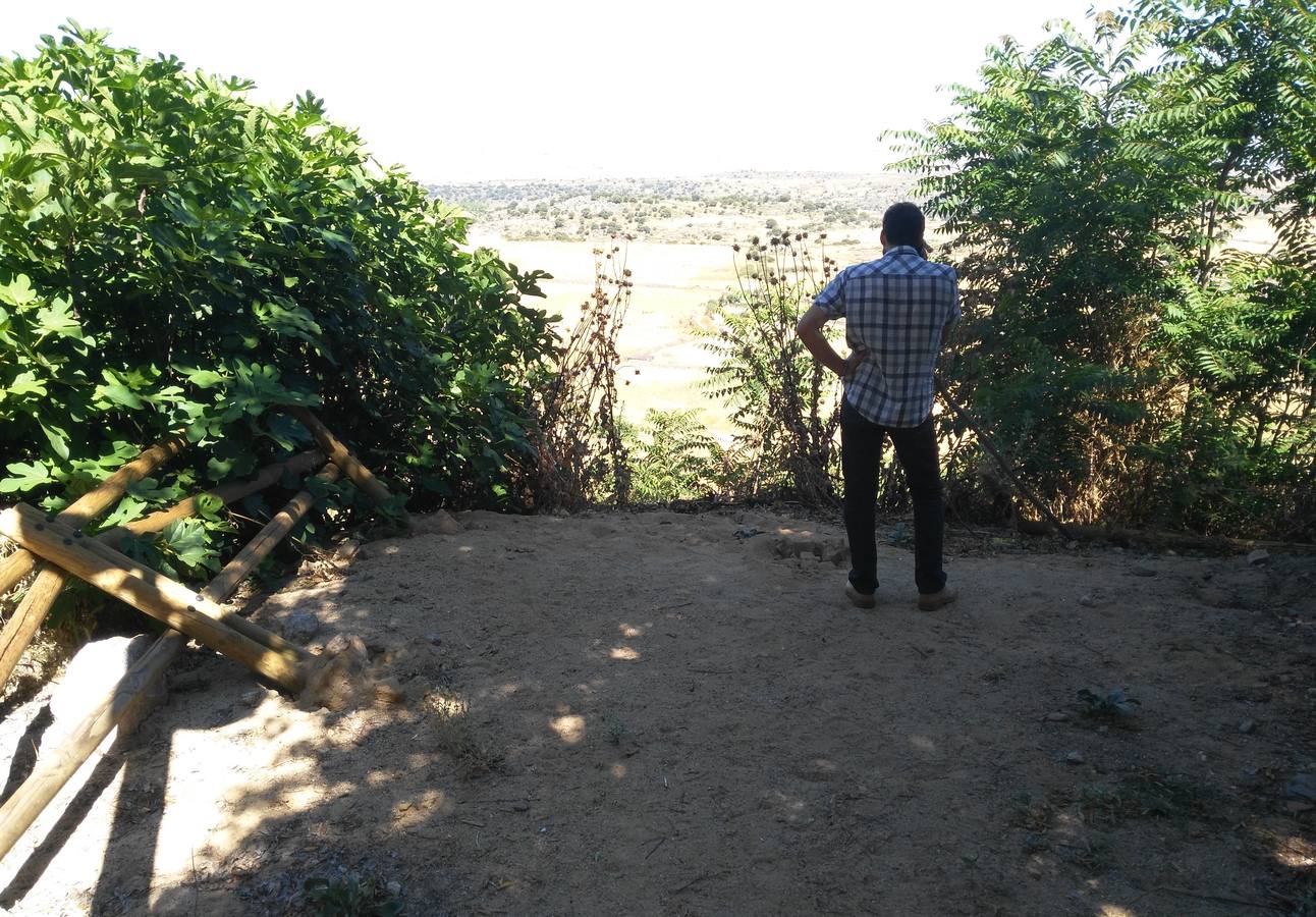 Zona donde se han producido los daños en el vallado 