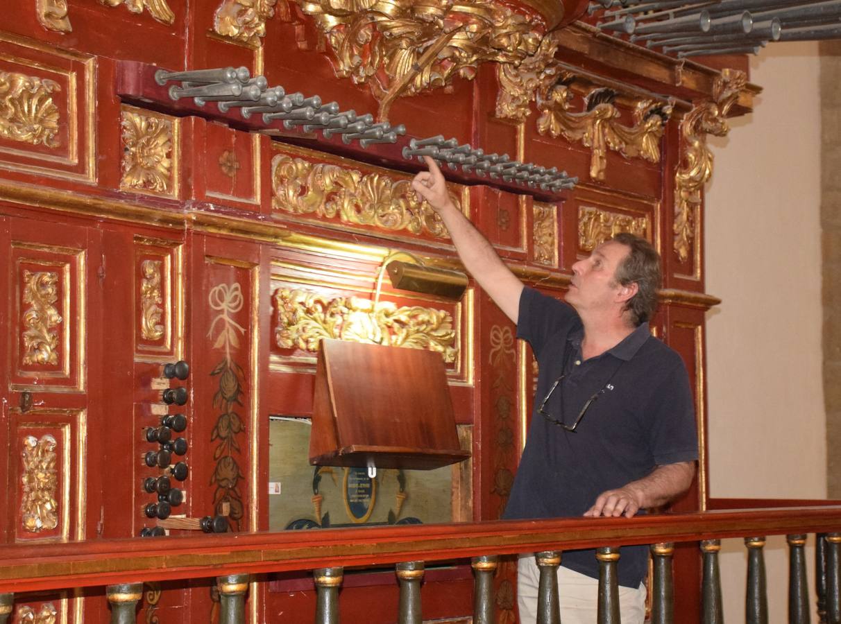 El especialisa en el órgano de San Martín 