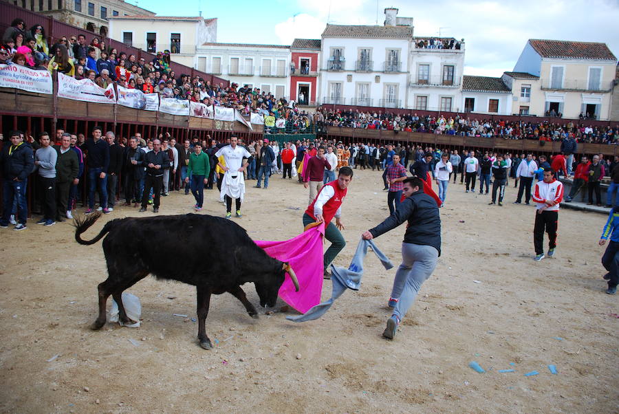 Festejo taurino en una edición anterior en la plaza Mayor 