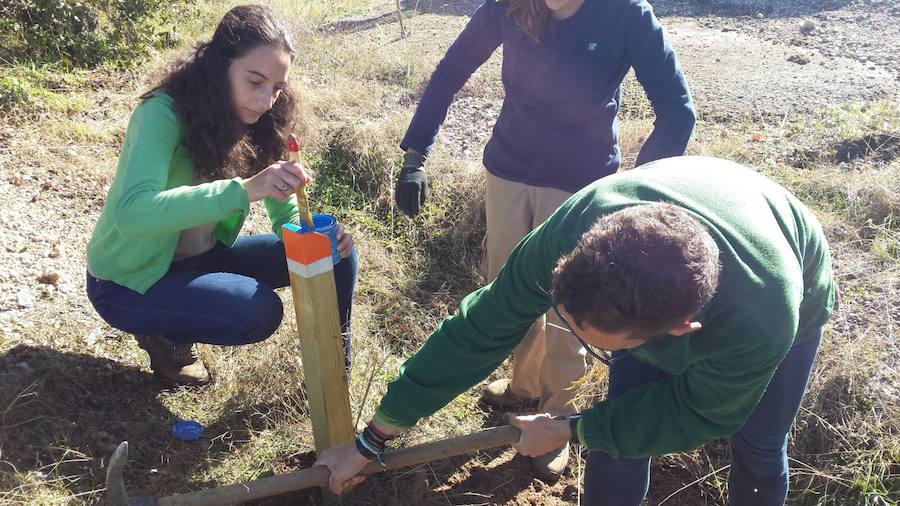 Alumnos colocando esos postes CEDIDA