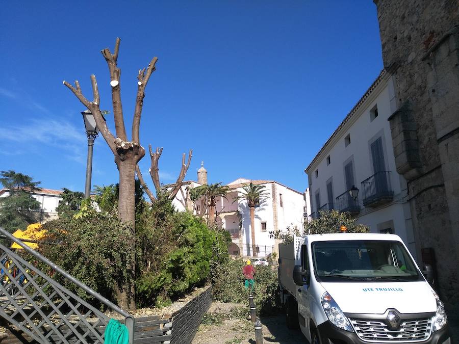 Se precisa un auxiliar de jardinería 
