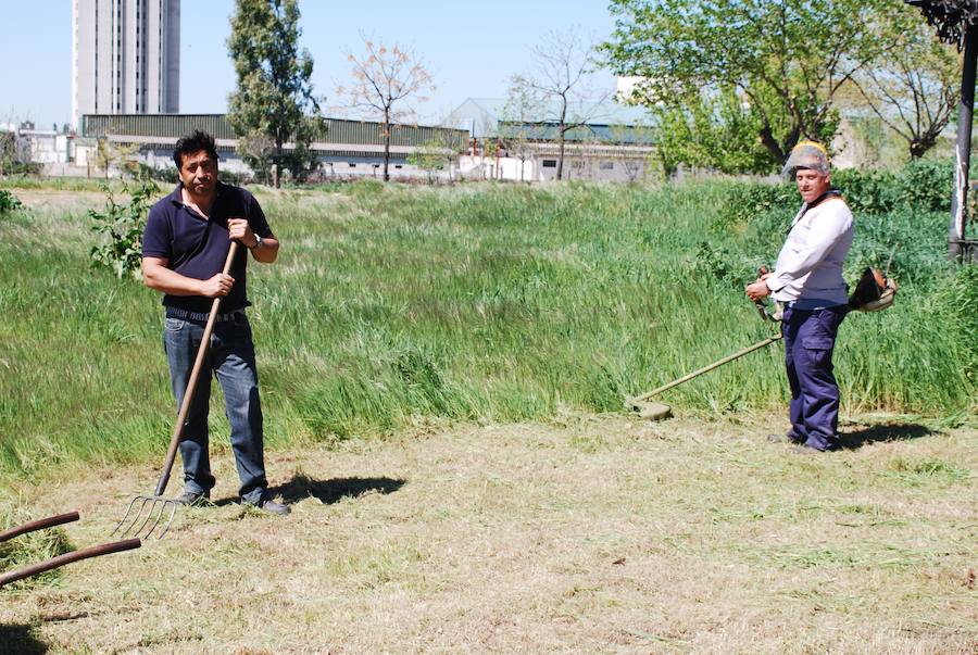 'Huerta Ecoánime' ya adecenta los terrenos en el parque de San Lázaro