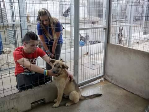 La nueva protectora de animales de Trujillo se formalizará hoy en una reunión