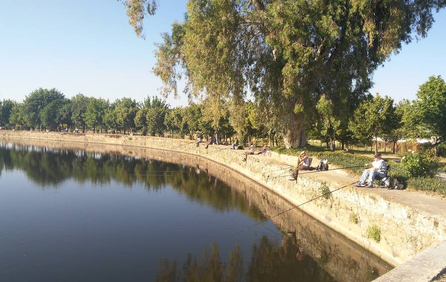 Recuperada la charca de San Lázaro para la nueva temporada de pesca