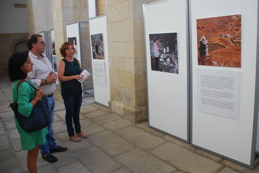 Responsables del Ayuntamiento y de la Fundación Musol, en la visita a la exposición 