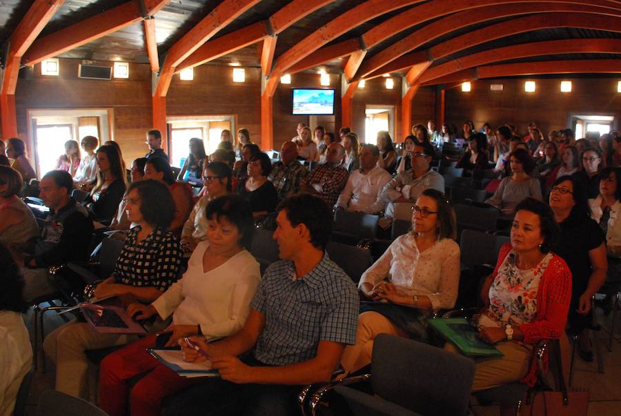 Asisentes a las jornadas de mediación 