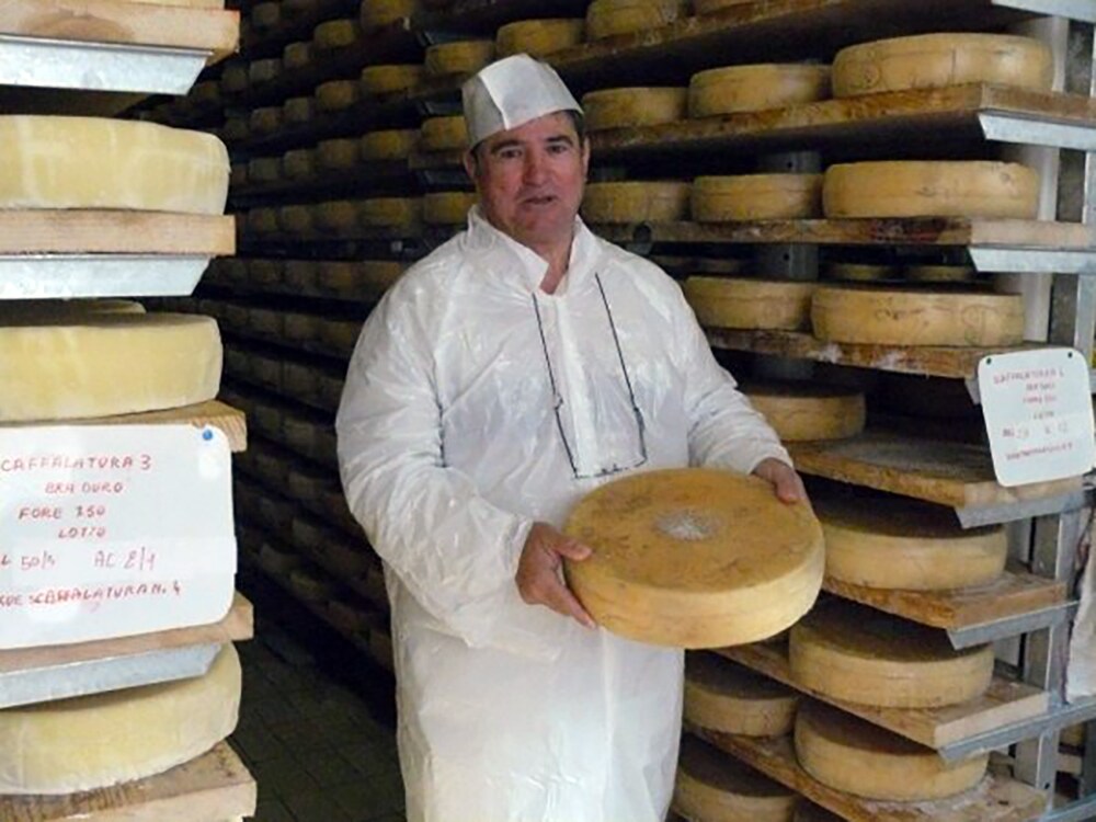 José Luis Martín inspeccionando quesos en Italia.