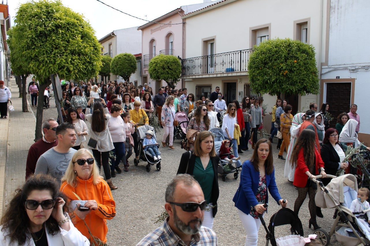 Algunas imágenes del Domingo de Ramos con la procesión de la Burrita como protagonista en el inicio de la Semana Santa en Valverde de Leganés (14-04-2019)