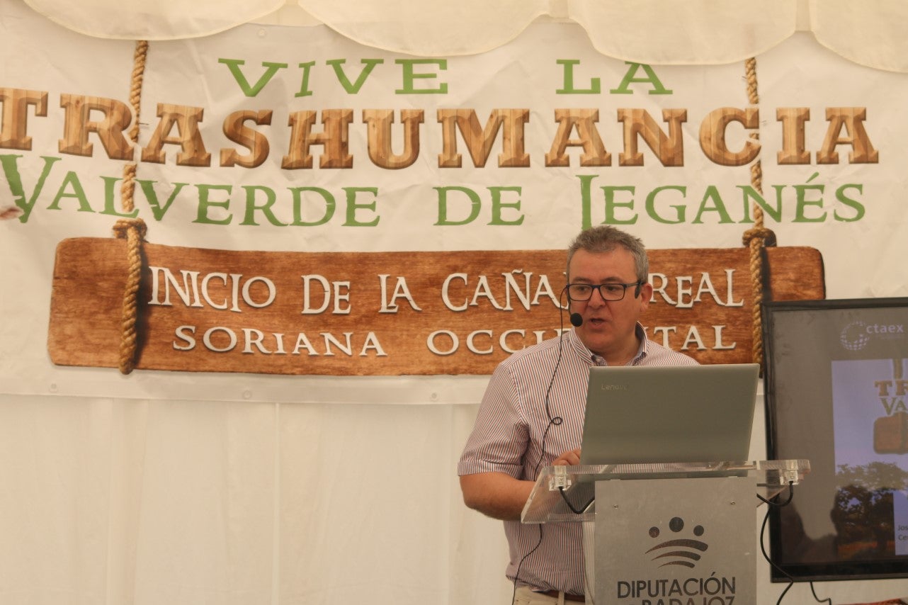 Imágenes de las actividades del sábado de la novena edición de 'Vive la Trashumancia' (04-05-2019)