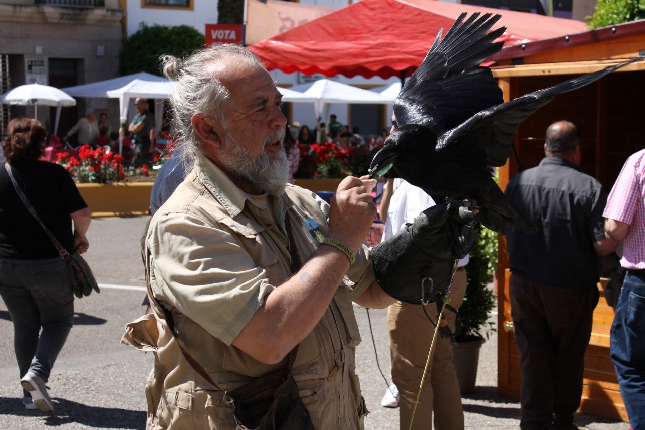 Imágenes de las actividades del sábado de la novena edición de 'Vive la Trashumancia' (04-05-2019)