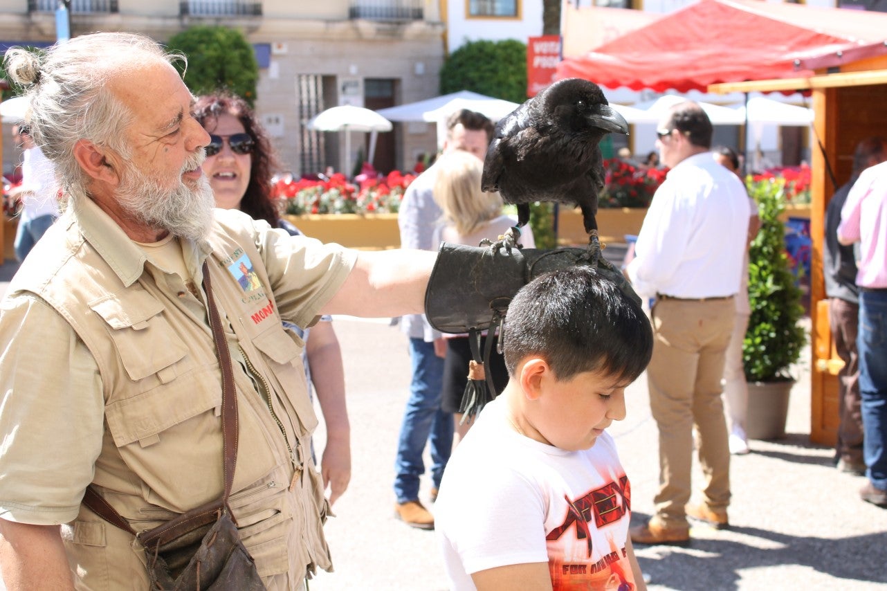 Imágenes de las actividades del sábado de la novena edición de 'Vive la Trashumancia' (04-05-2019)