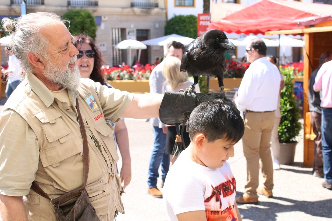 Imágenes de las actividades del sábado de la novena edición de 'Vive la Trashumancia' (04-05-2019)