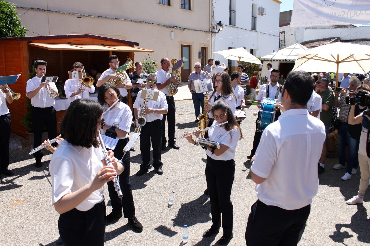 Imágenes de las actividades del sábado de la novena edición de 'Vive la Trashumancia' (04-05-2019)