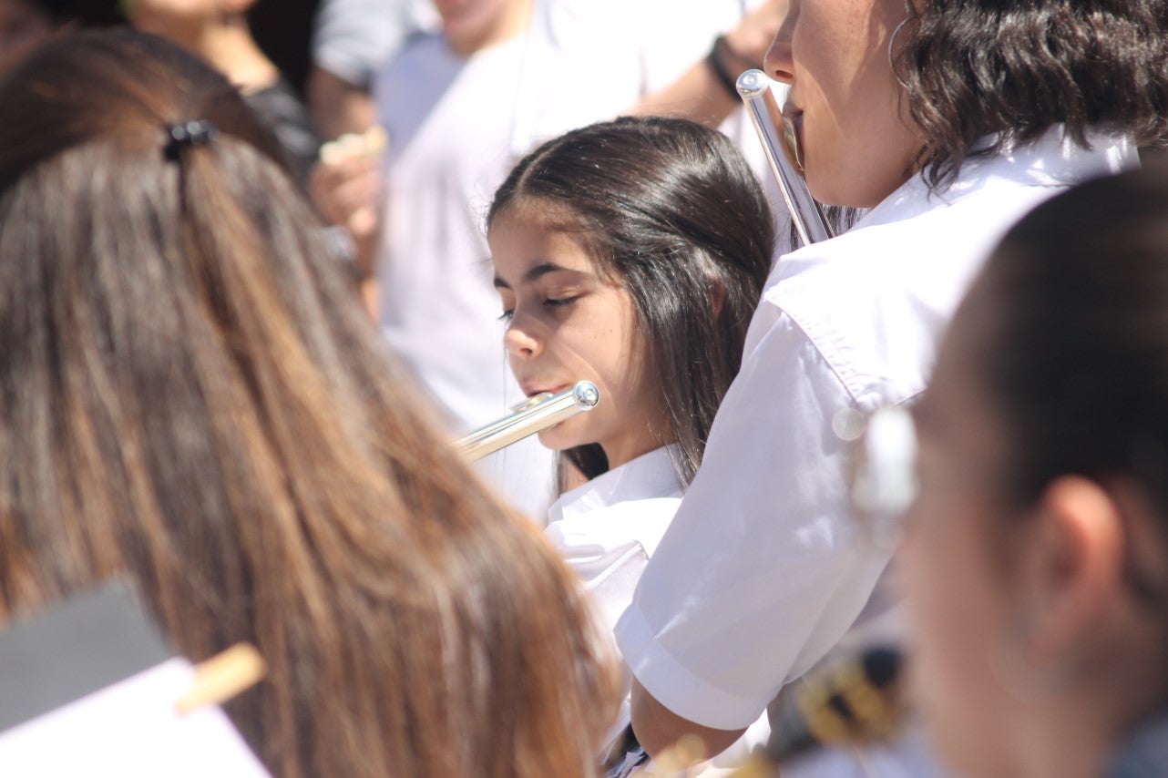 Imágenes de las actividades del sábado de la novena edición de 'Vive la Trashumancia' (04-05-2019)