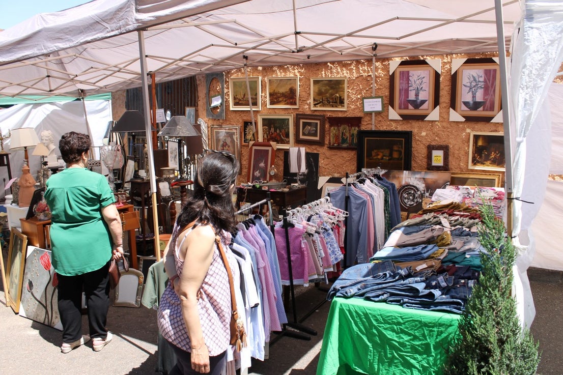 Imágenes de las actividades del sábado de la novena edición de 'Vive la Trashumancia' (04-05-2019)