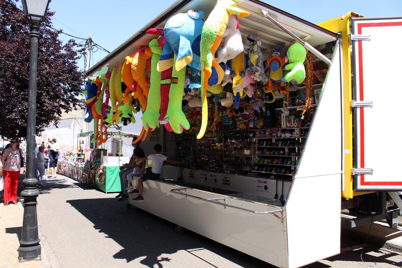 Imágenes de las actividades del sábado de la novena edición de 'Vive la Trashumancia' (04-05-2019)