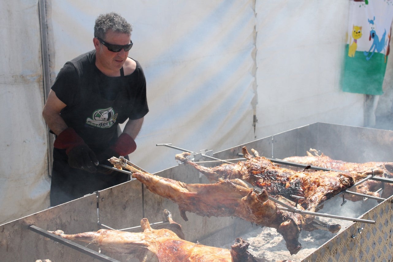 Imágenes de las actividades del sábado de la novena edición de 'Vive la Trashumancia' (04-05-2019)