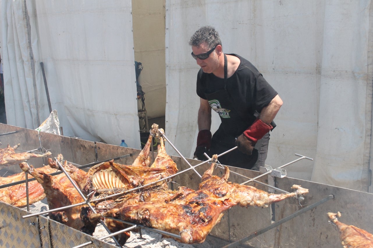 Imágenes de las actividades del sábado de la novena edición de 'Vive la Trashumancia' (04-05-2019)