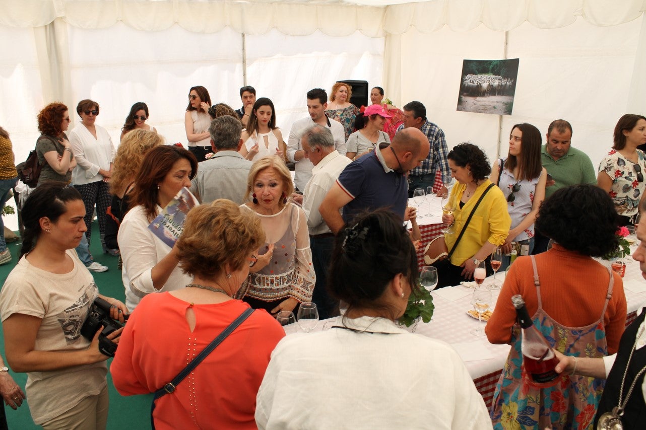 Imágenes de las actividades del sábado de la novena edición de 'Vive la Trashumancia' (04-05-2019)