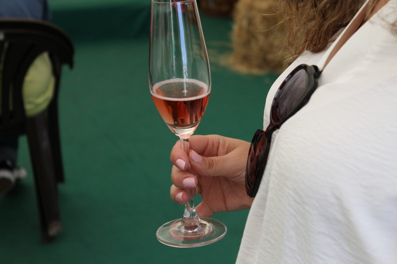 Imágenes de las actividades del sábado de la novena edición de 'Vive la Trashumancia' (04-05-2019)