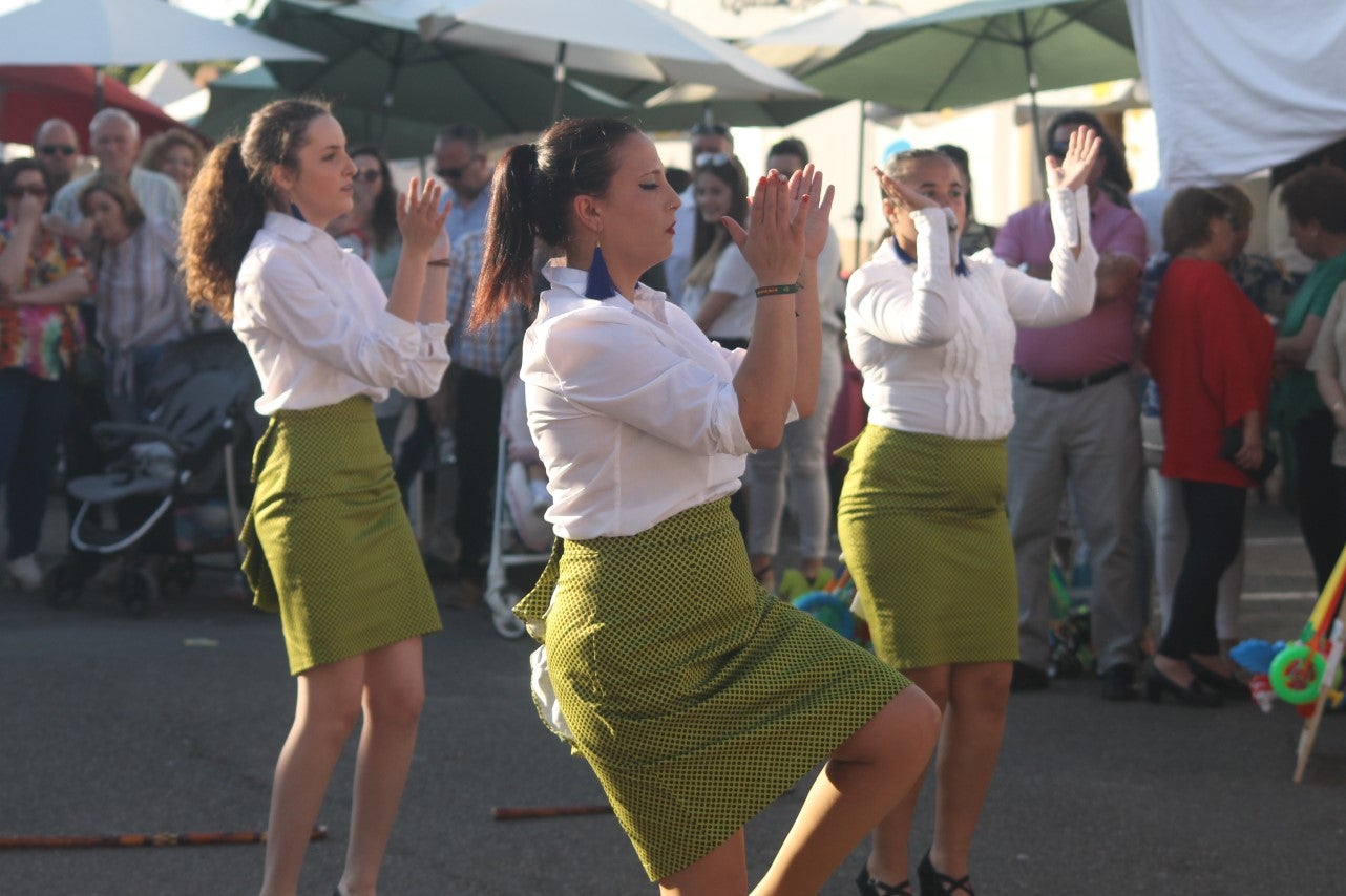 Imágenes de las actividades del sábado de la novena edición de 'Vive la Trashumancia' (04-05-2019)