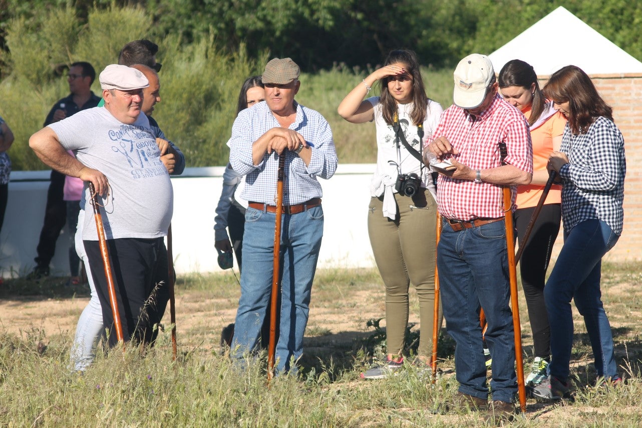 Imáenes de las actividades desarrolladas el domingo en la novena edición de 'vive la Trashumancia' (05-05-2019)