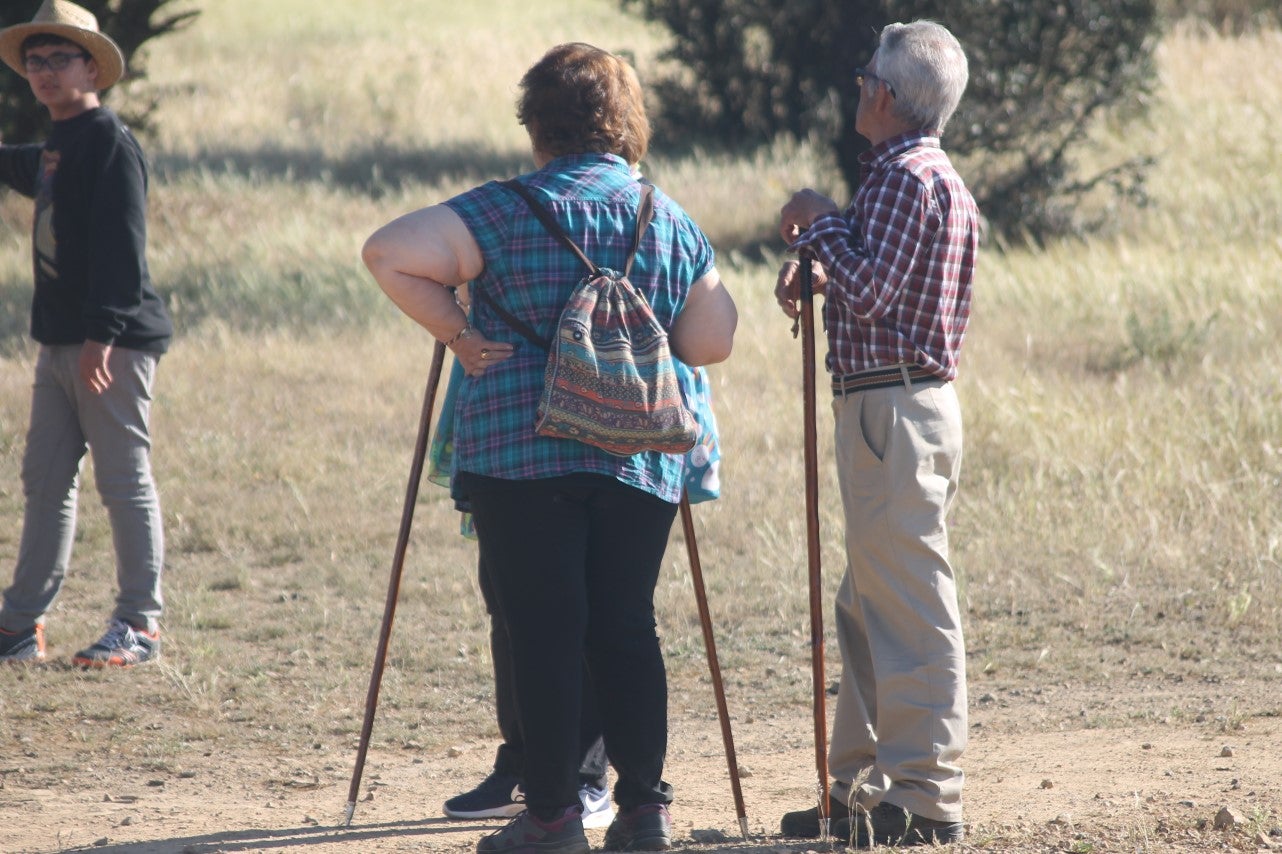 Imáenes de las actividades desarrolladas el domingo en la novena edición de 'vive la Trashumancia' (05-05-2019)