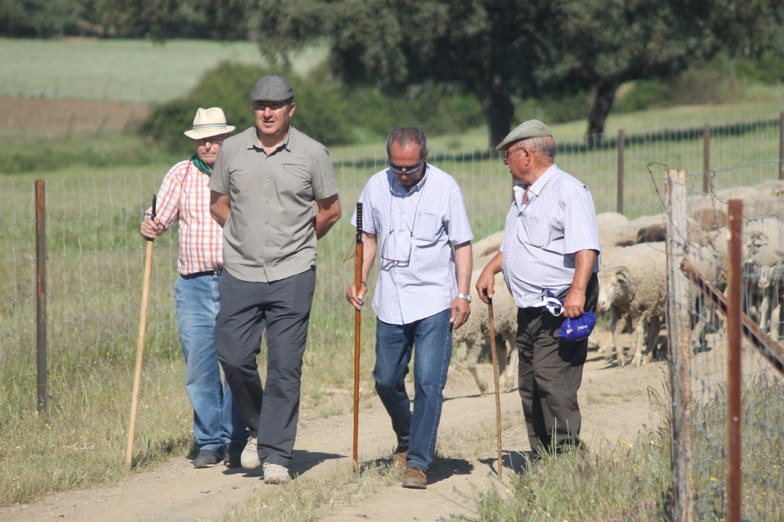 Imáenes de las actividades desarrolladas el domingo en la novena edición de 'vive la Trashumancia' (05-05-2019)