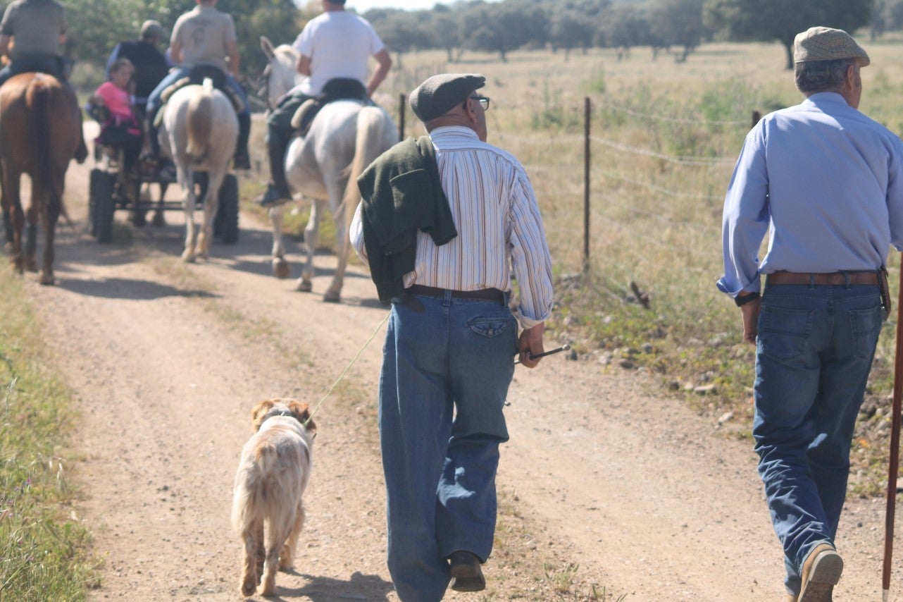 Imágenes de las actividades desarrolladas el domingo en la novena edición de 'vive la Trashumancia' (05-05-2019)