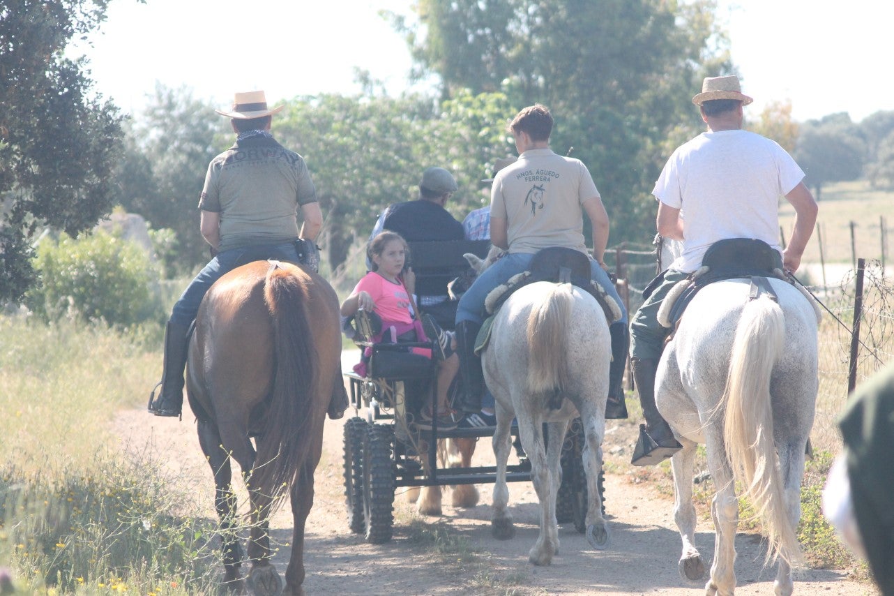 Imágenes de las actividades desarrolladas el domingo en la novena edición de 'vive la Trashumancia' (05-05-2019)